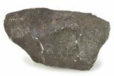 Canyon Diablo Iron Meteorite ( g) - Arizona #246902-1